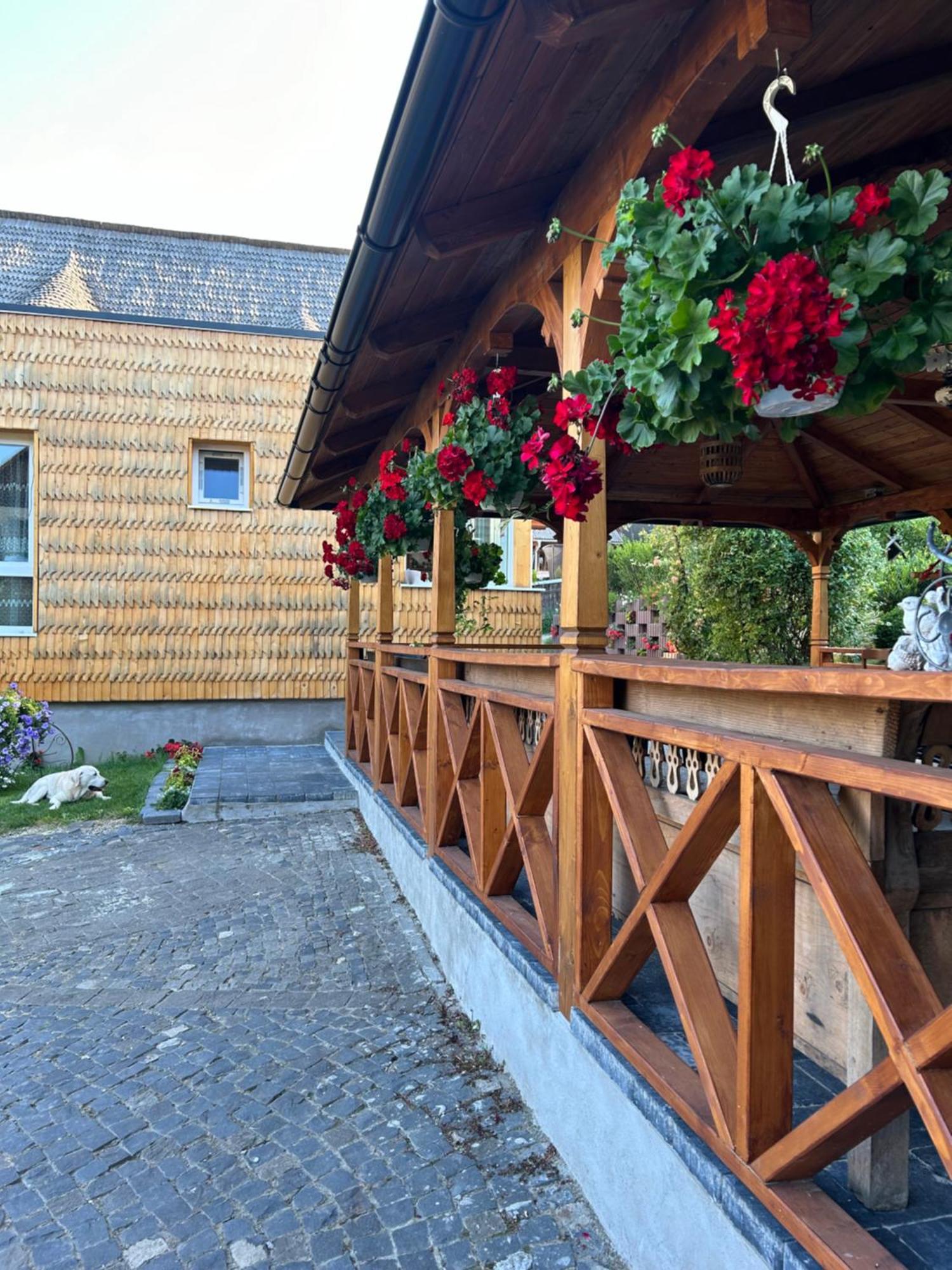Casa Cu Magnolii Hotel Poienile Izei Bagian luar foto