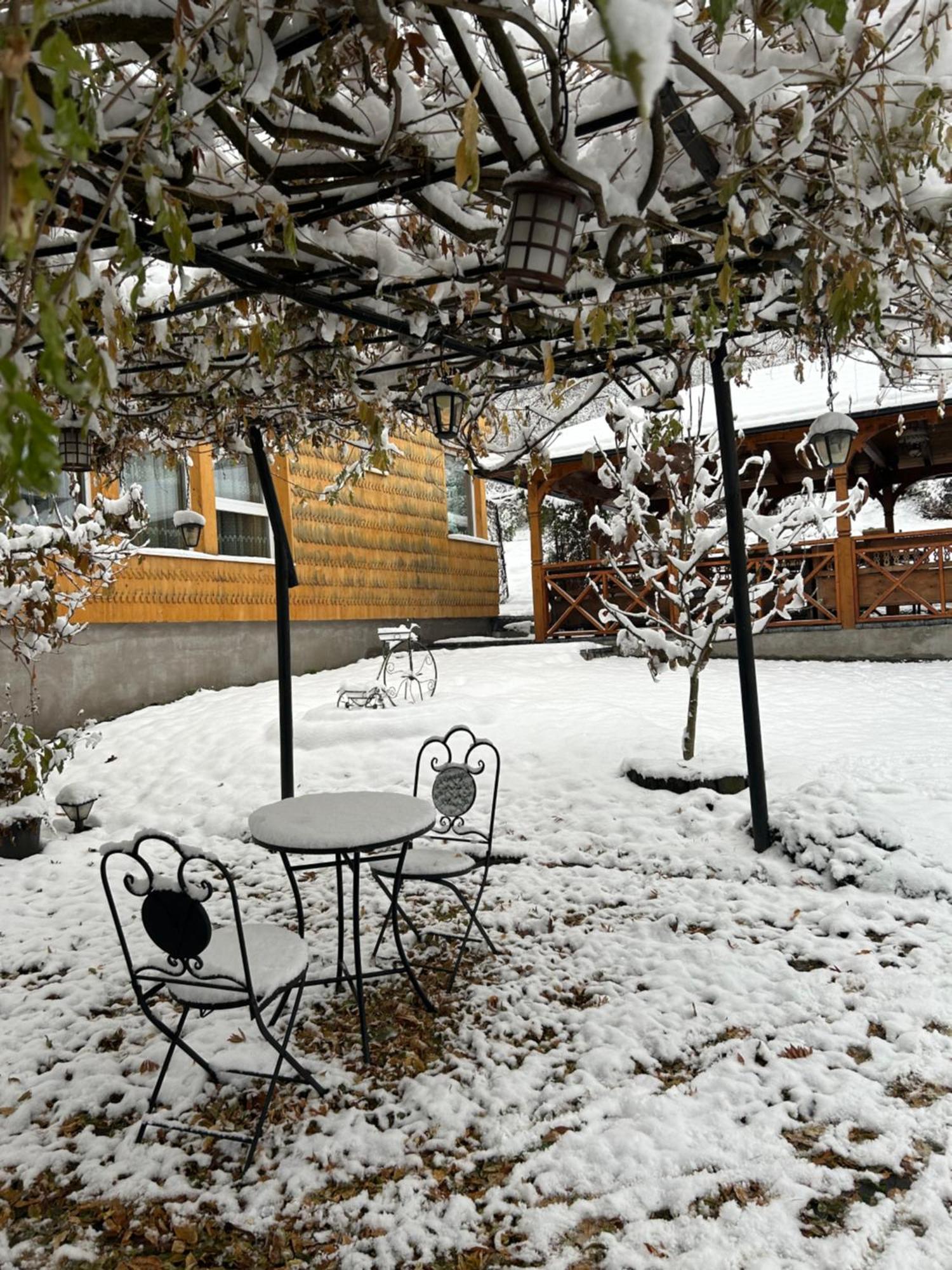 Casa Cu Magnolii Hotel Poienile Izei Bagian luar foto